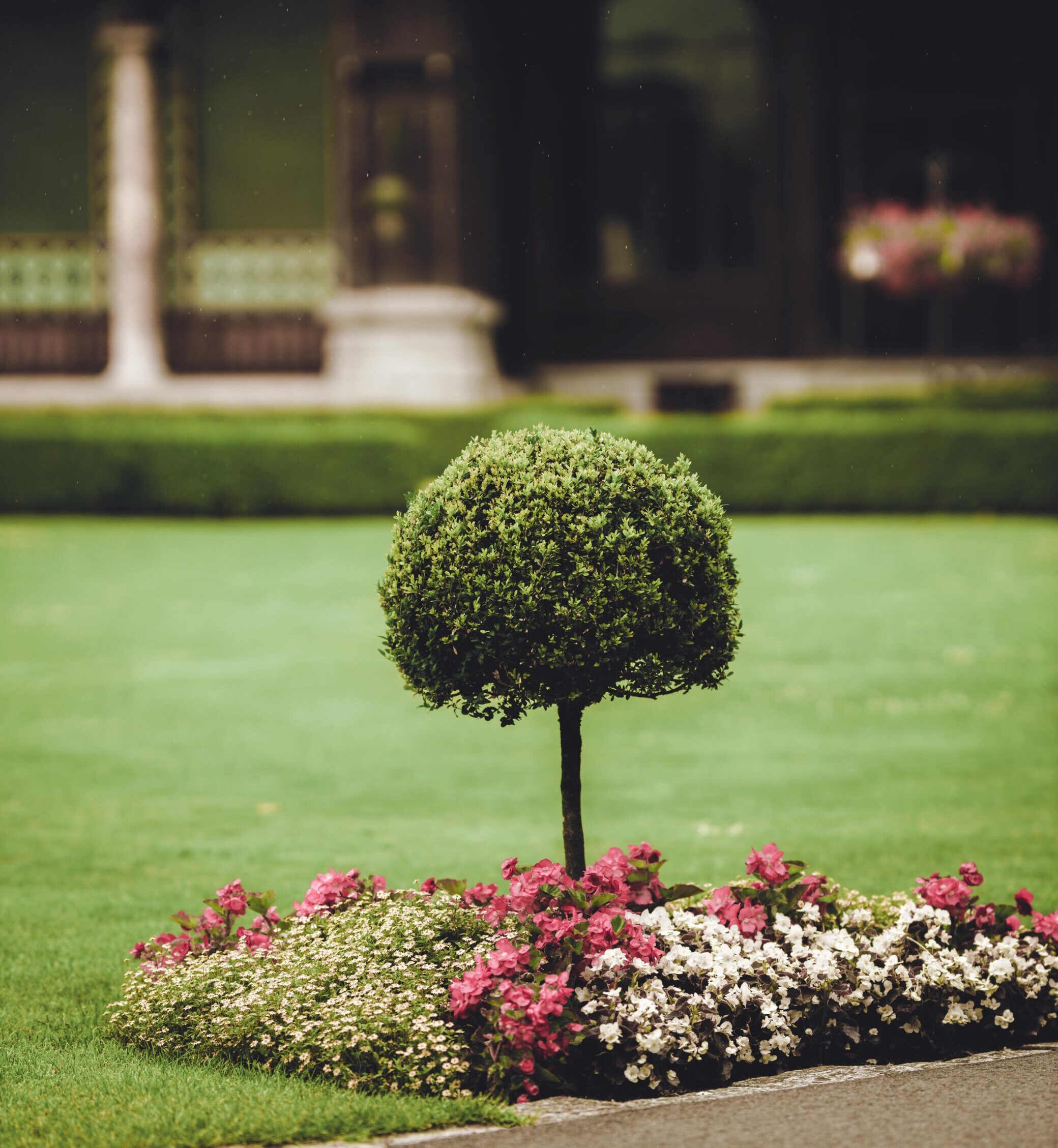 A lush garden with manicured shrub and vibrant flowers in front of a classic building.