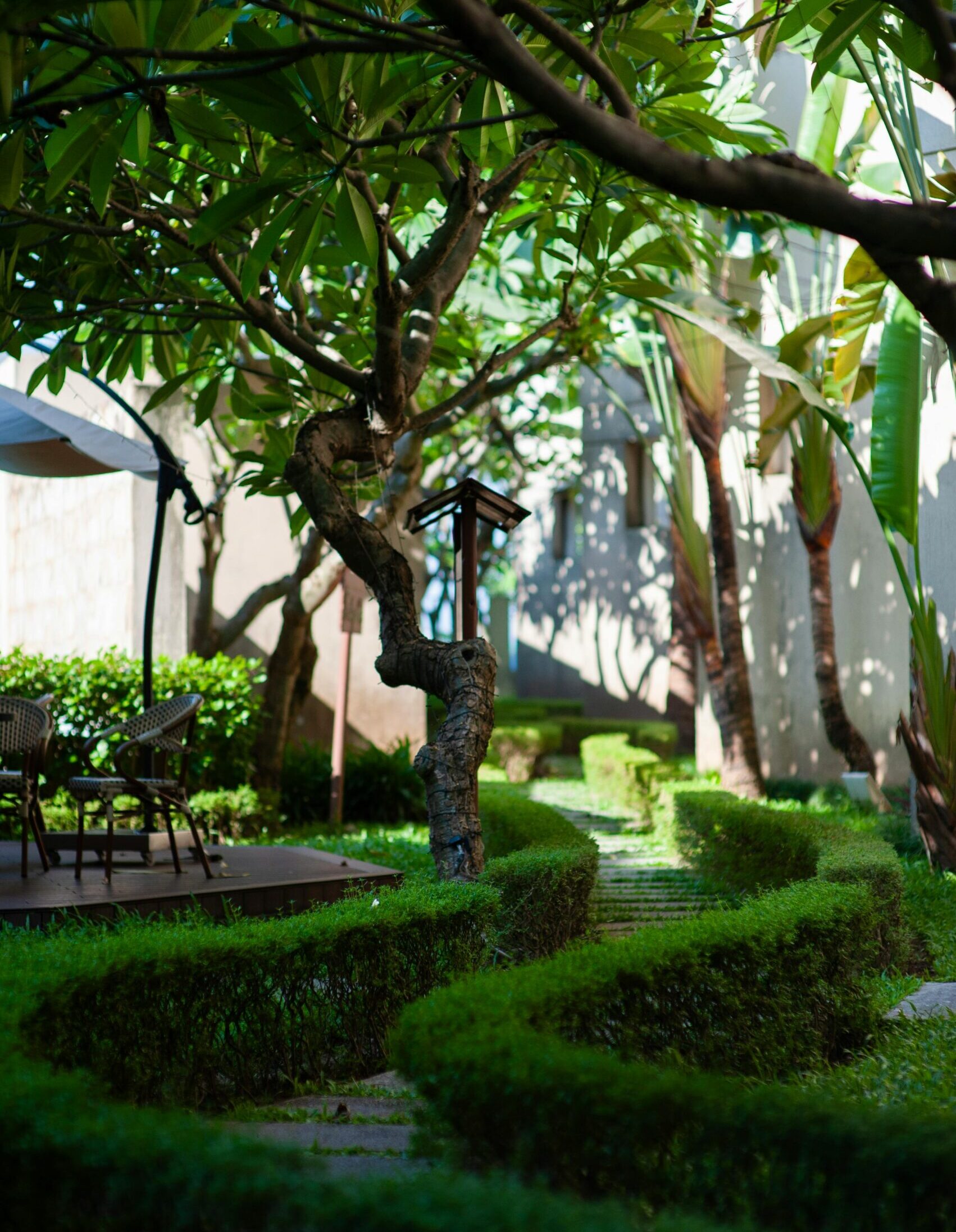 Serene garden scene featuring a winding pathway with lush greenery and seating area.