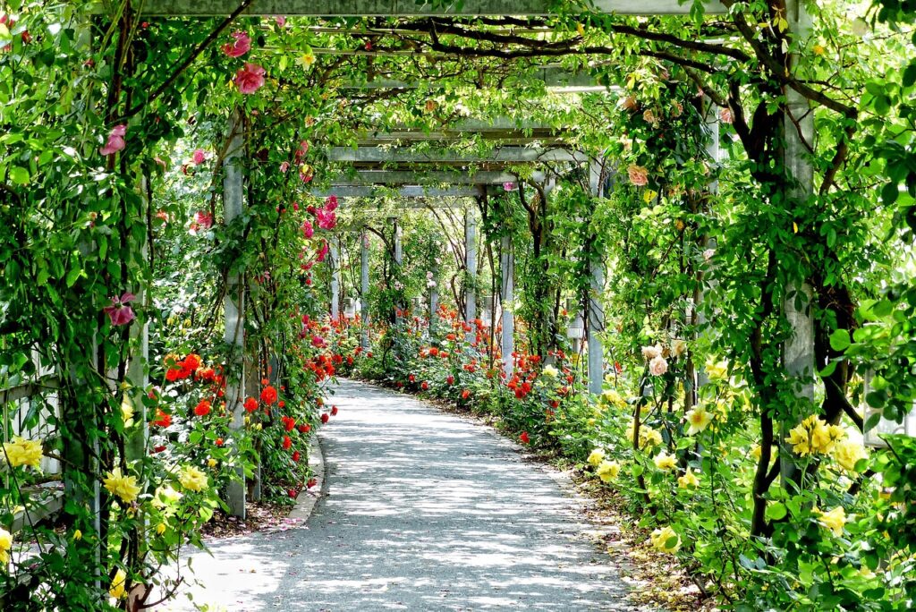 flowers, flower background, arches, beautiful flowers, passage, park, gang, path, sunny, flower wallpaper, nature