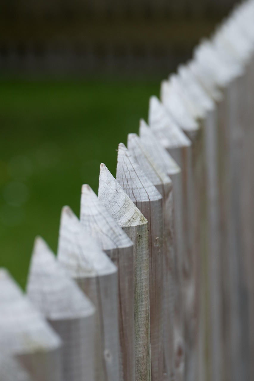 fence, wood, pointed, wooden fence, bar, paling, texture, limitation, diagonal, green, brown