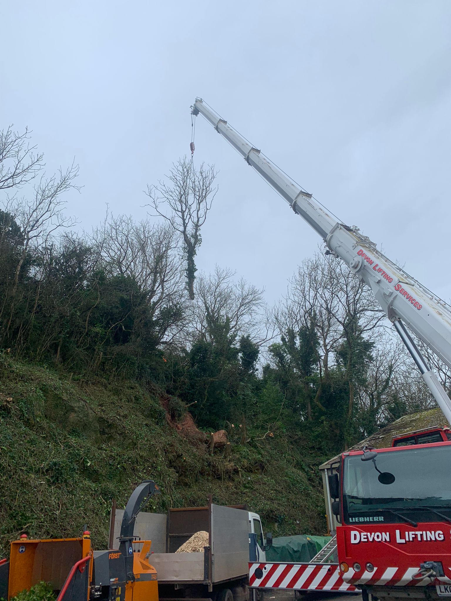 Crane-Assisted Removal of 28 Dead Ash Trees